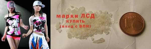 индика Бронницы